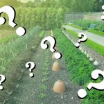 Trivia for the Great Gardner