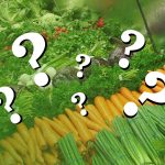 Trivia about Gardner’s Veg Patches