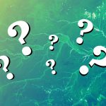 Trivia about Rainforests