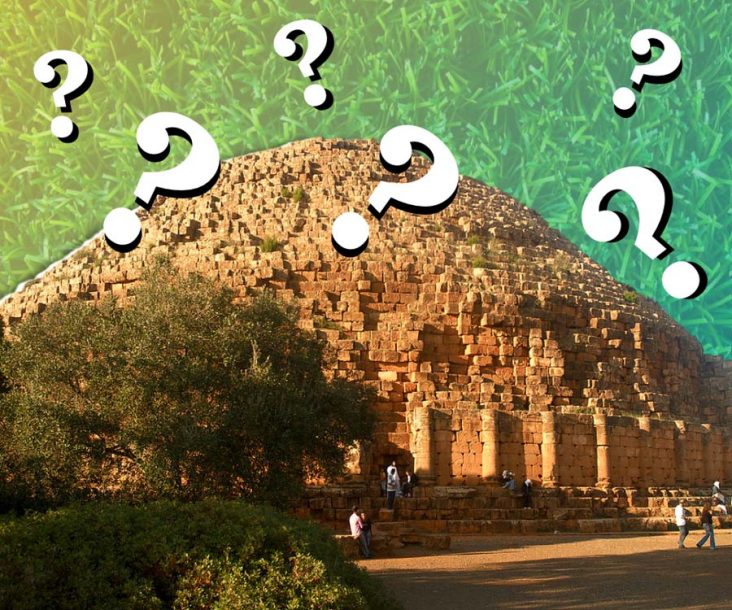 Trivia about Life In Medieval Times 