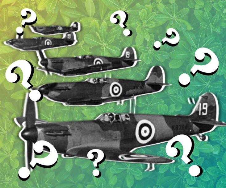 Trivia about World War II