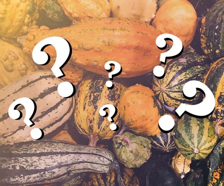 Trivia about food you used to love