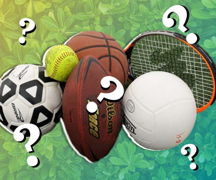 True or False questions about Sport