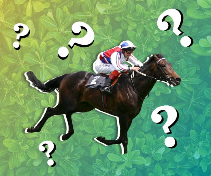 Trivia about Great Britain’s Sports