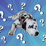 The World’s Hardest trivia about Disney films