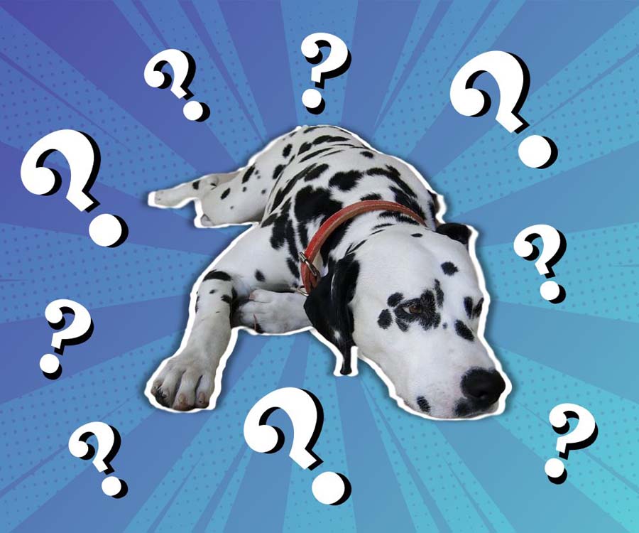 The World’s Hardest trivia about Disney films