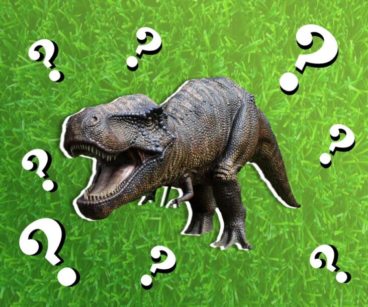 Trivia about Dinosaurs